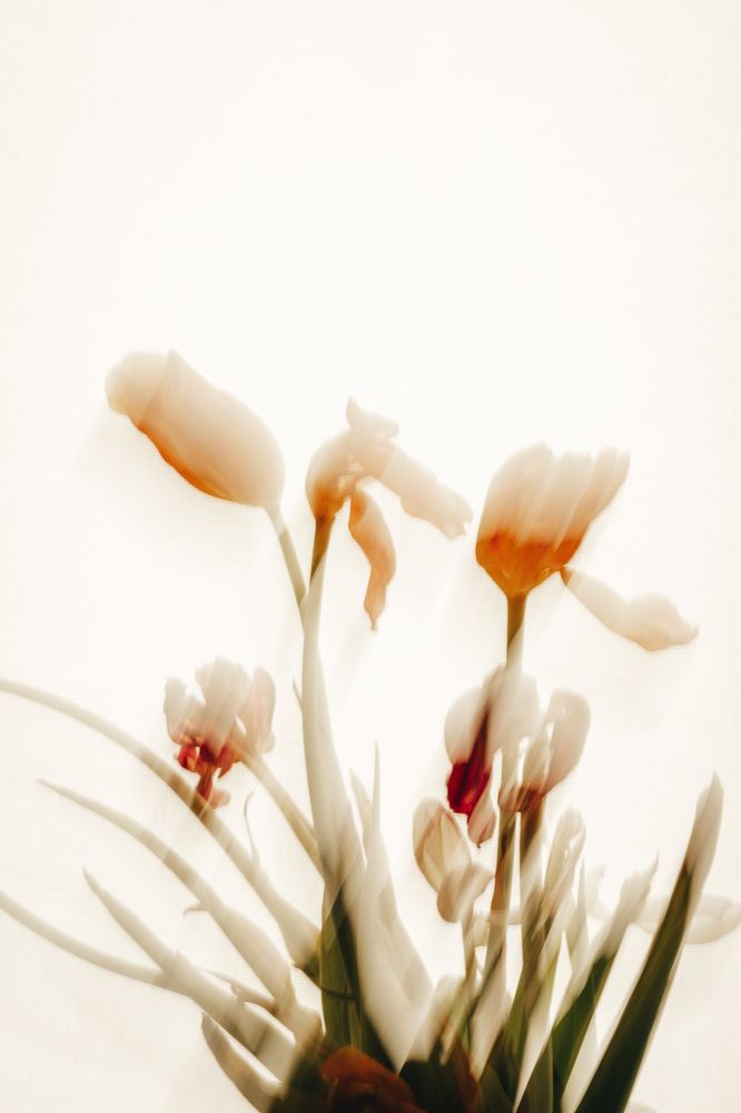 Photograph by Анастасия Макеева