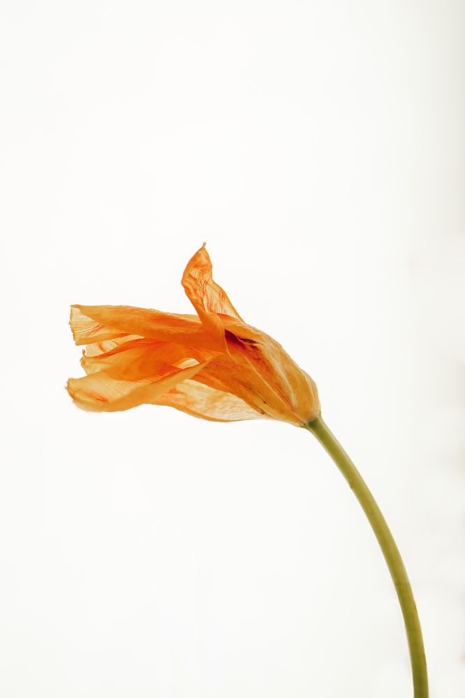 Photograph by Анастасия Макеева