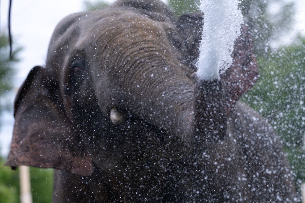 Photograph by Рыков Андрей