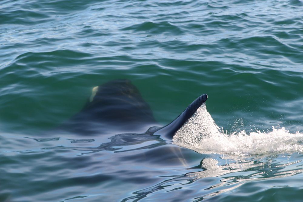 Photograph by Рыков Андрей