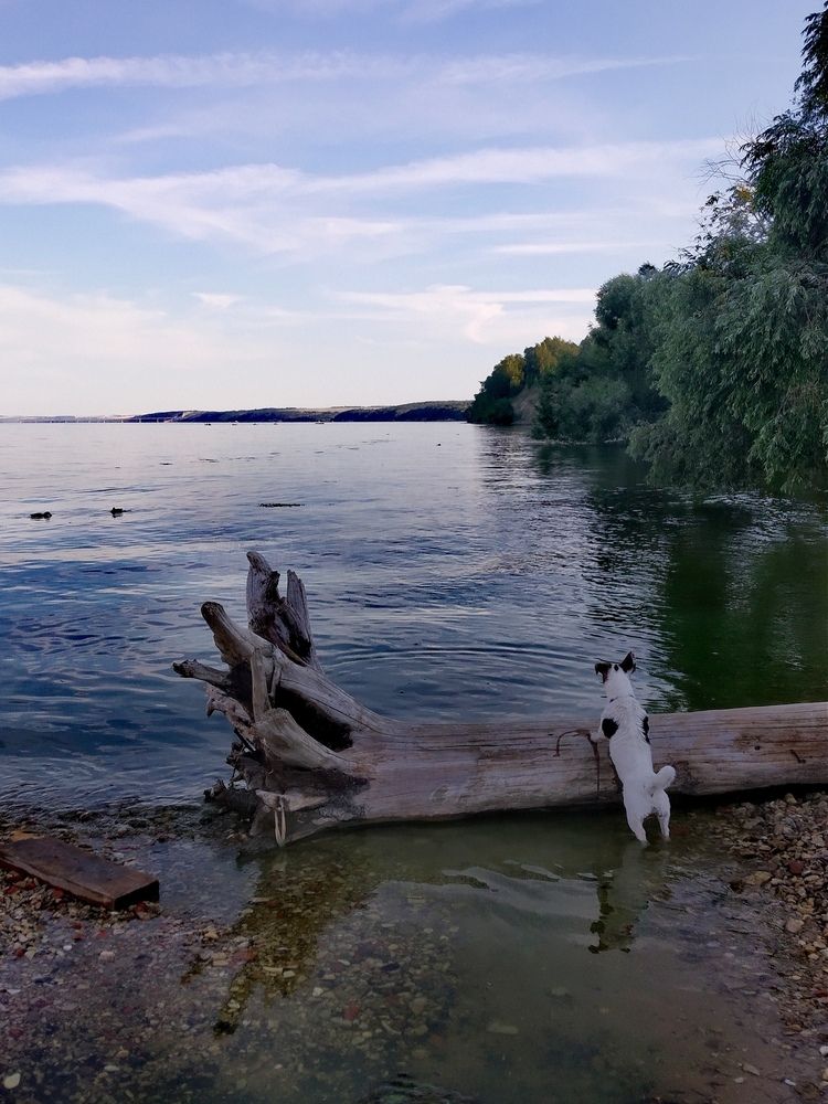 Photograph by Диана Филиппова