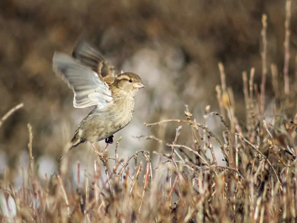 Photograph by Георгий Юркин