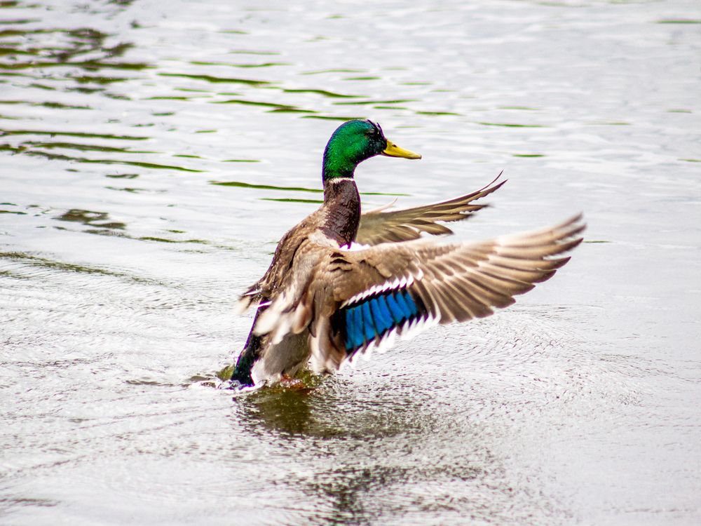 Photograph by Георгий Юркин