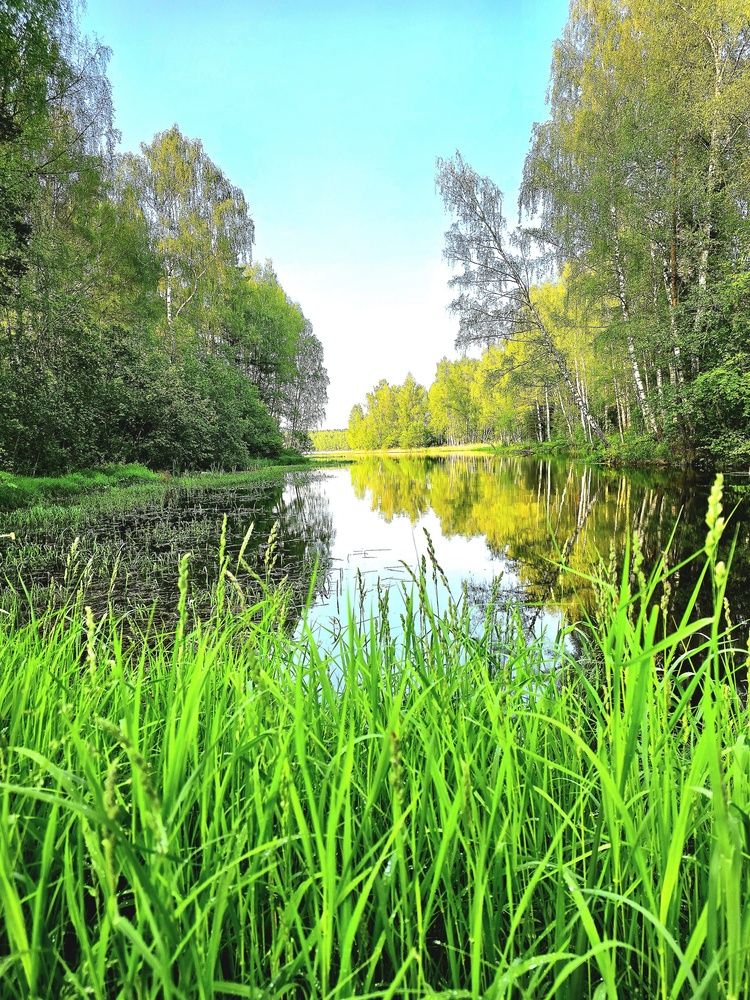 Photograph by Степан Павловский