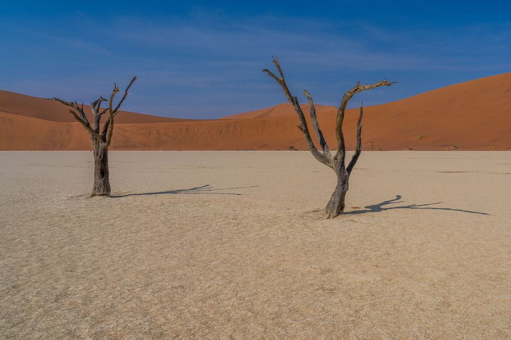 Photograph by Michael Firmbach