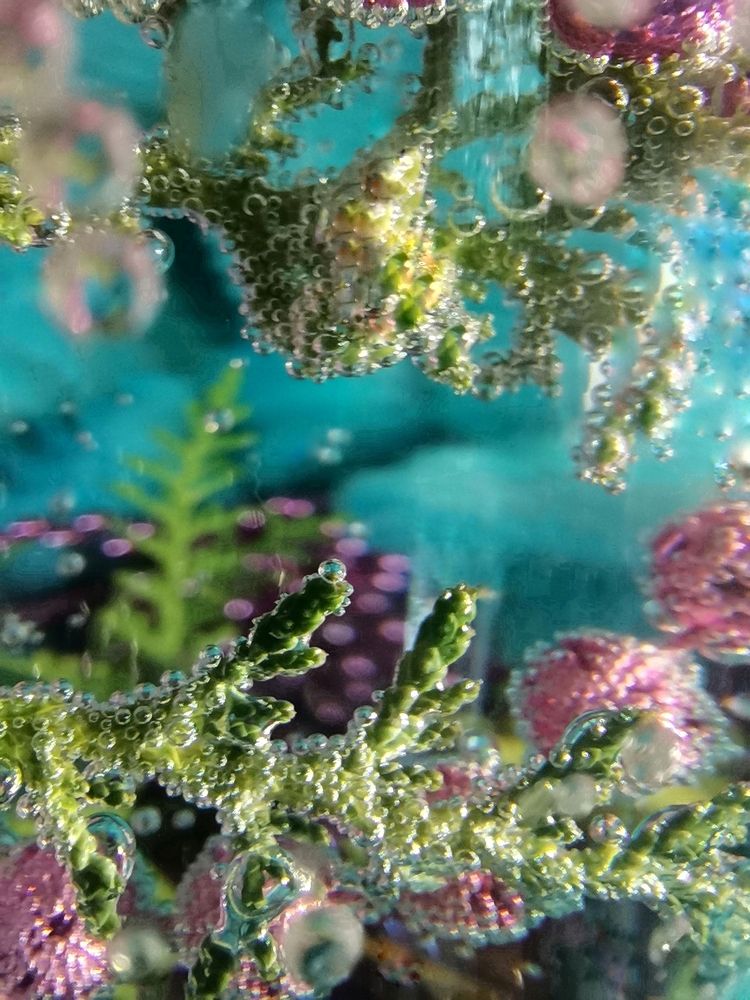 Photograph by Ирина Садовникова