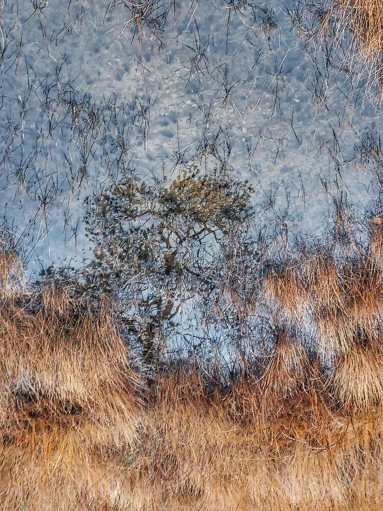 Photograph by OLGA MIKHNEVICH