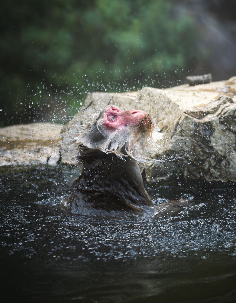 Photograph by AKAO TAITO