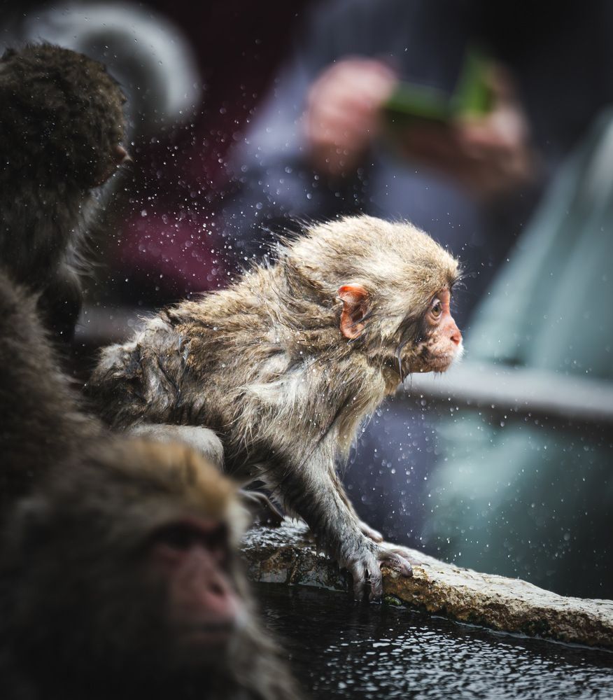 Photograph by AKAO TAITO