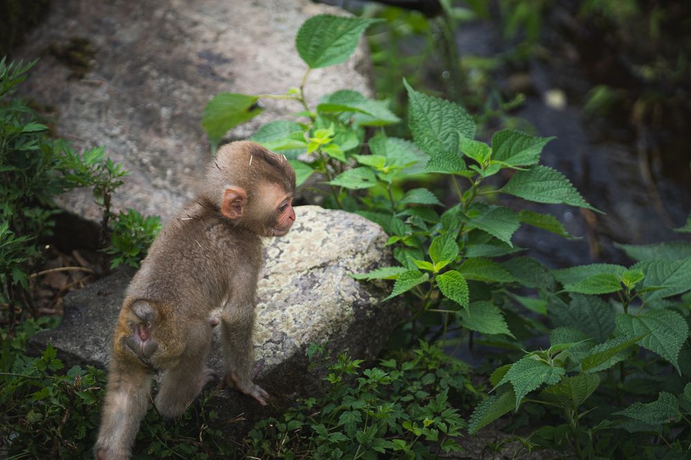 Photograph by AKAO TAITO