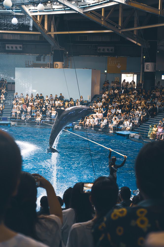 Photograph by AKAO TAITO