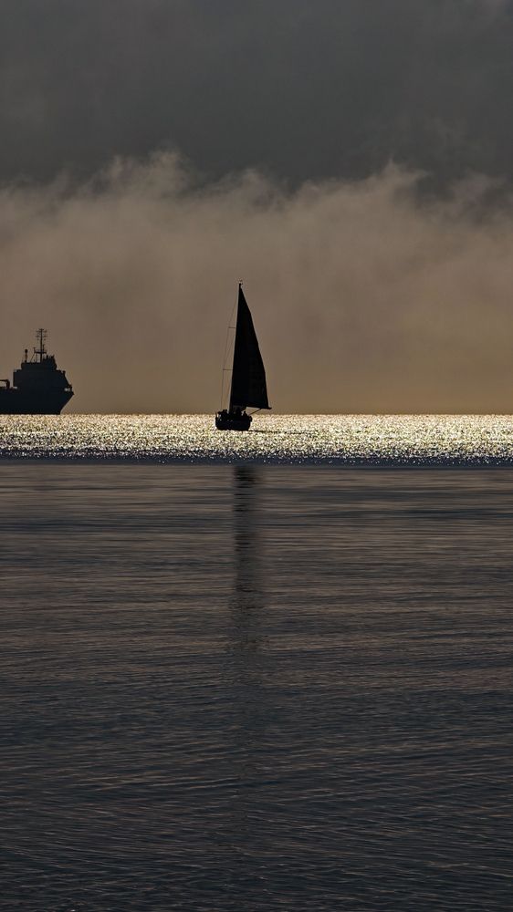 Photograph by Дарья