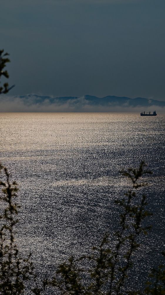 Photograph by Дарья