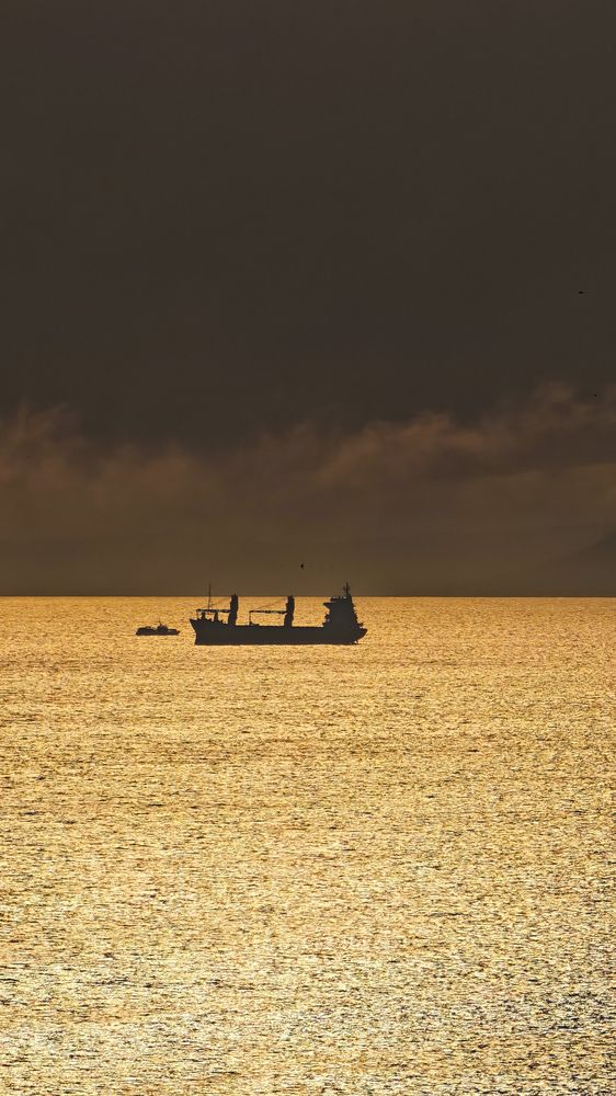 Photograph by Дарья