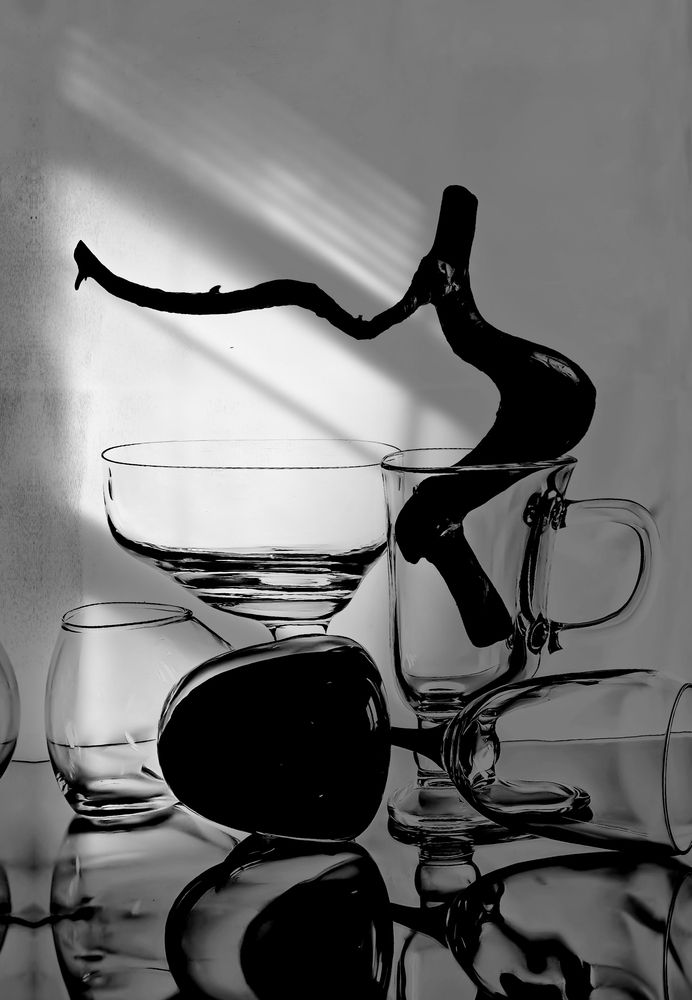 Photograph by Дарья