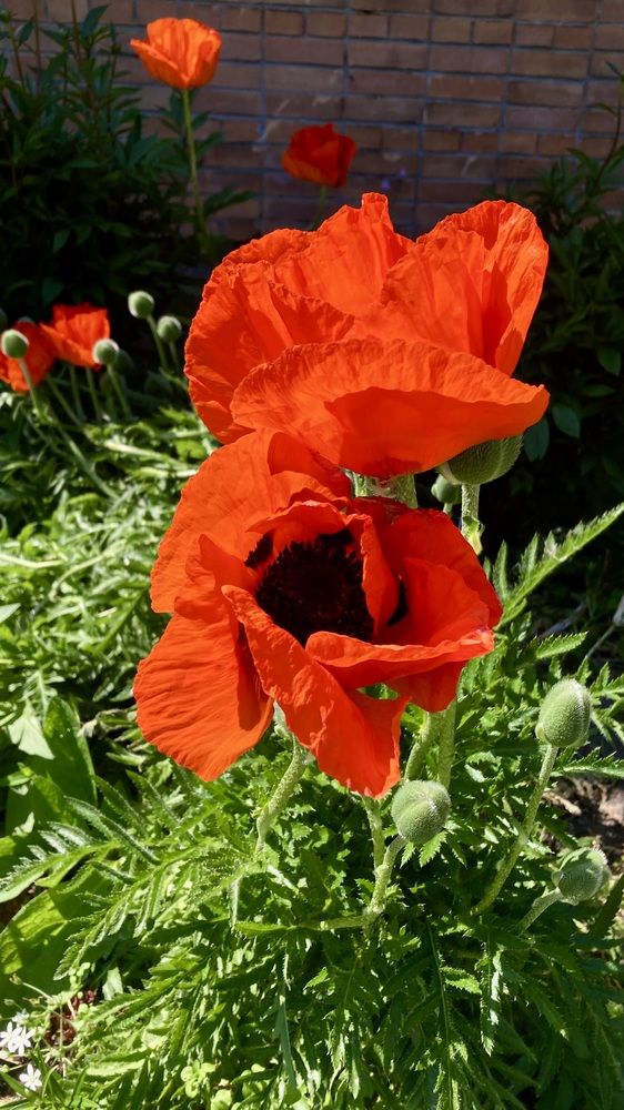 Photograph by Аркадий Каллистов