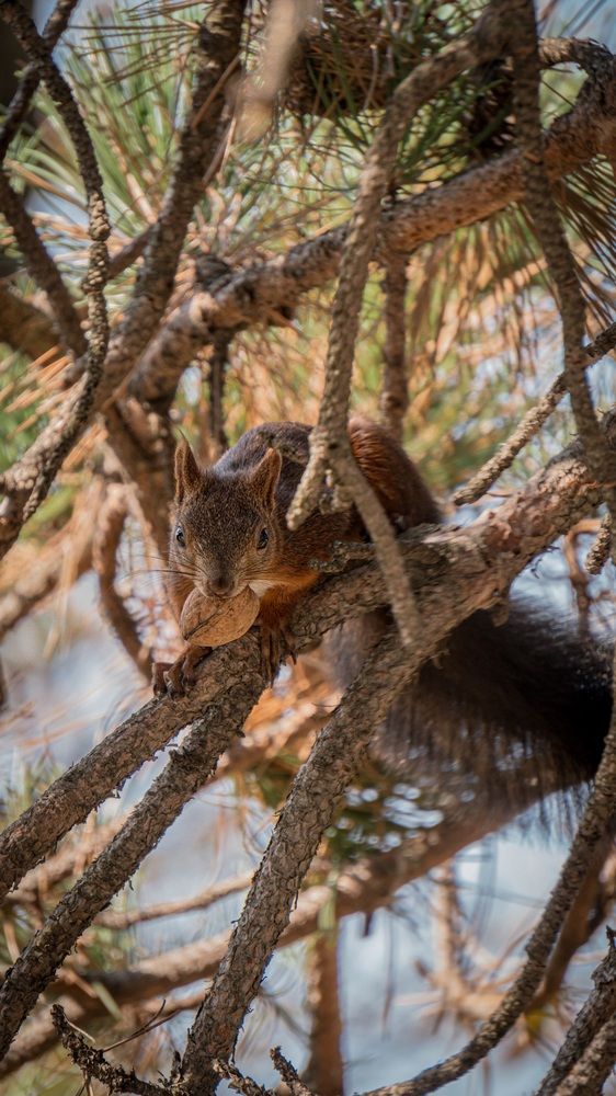 Photograph by Diony Alexander Sánchez Estevez