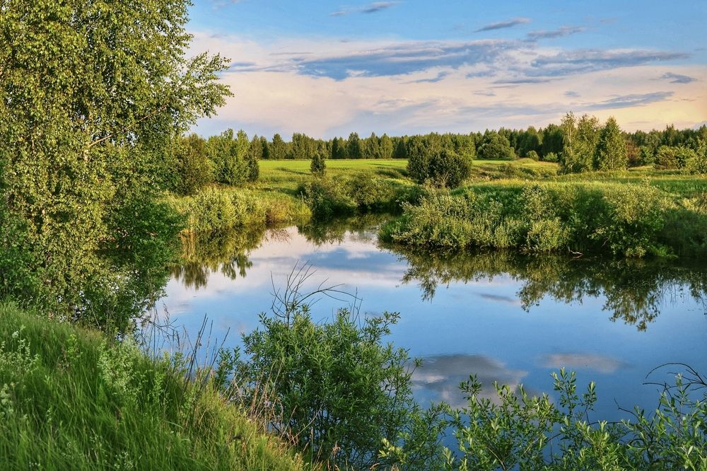 Пейзаж деревенский
