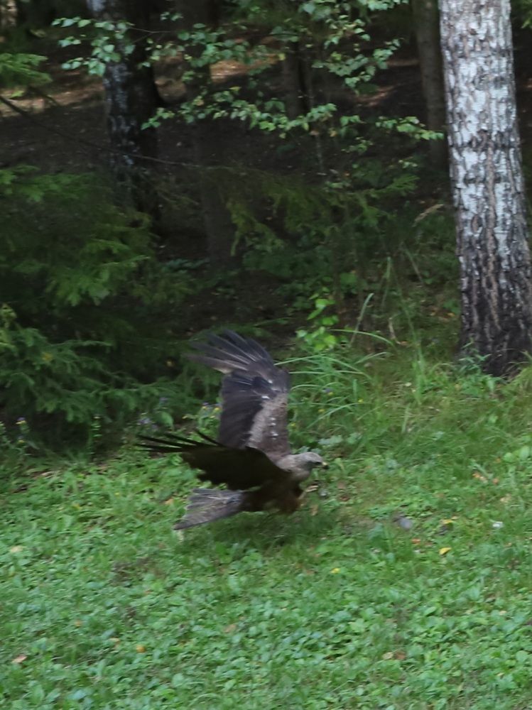 Photograph by Елена Тимченко