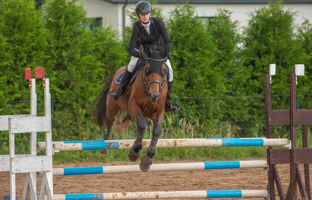 Фотография автора Aлексей Игнатьев