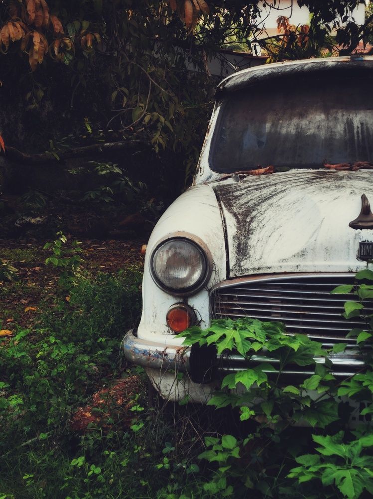 Фотография автора Joy Kapadia