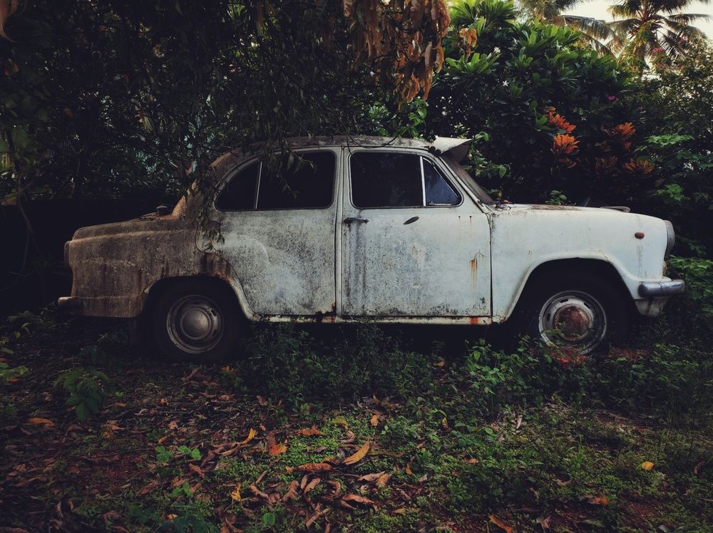 Фотография автора Joy Kapadia