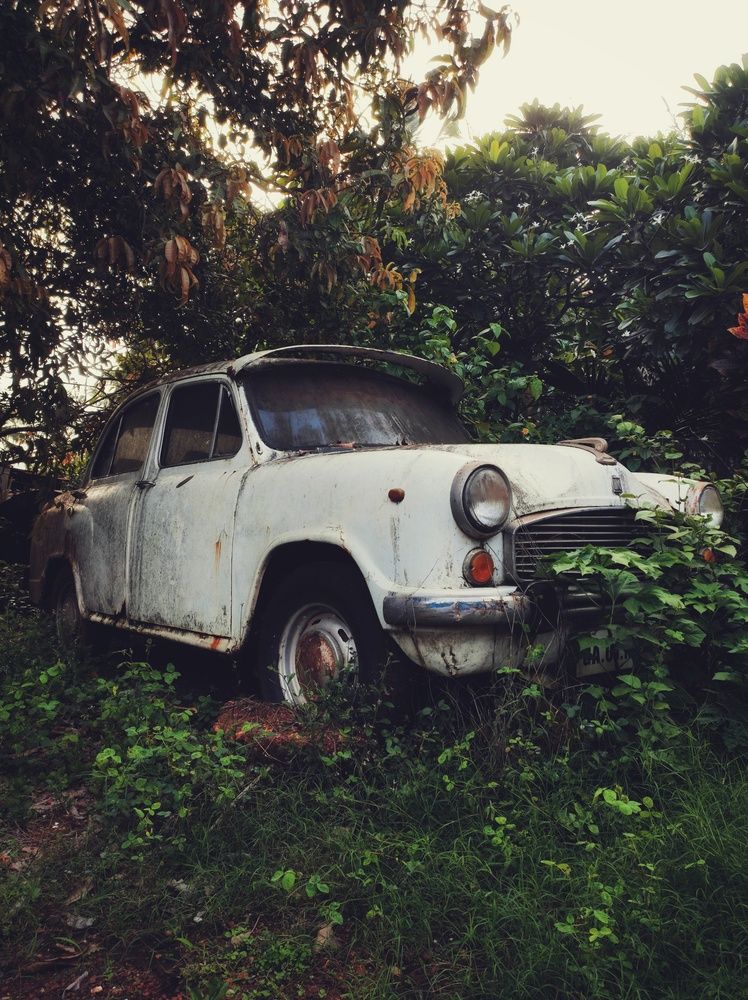 Фотография автора Joy Kapadia