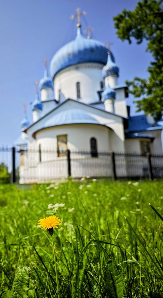 Летнее мгновение вечности
