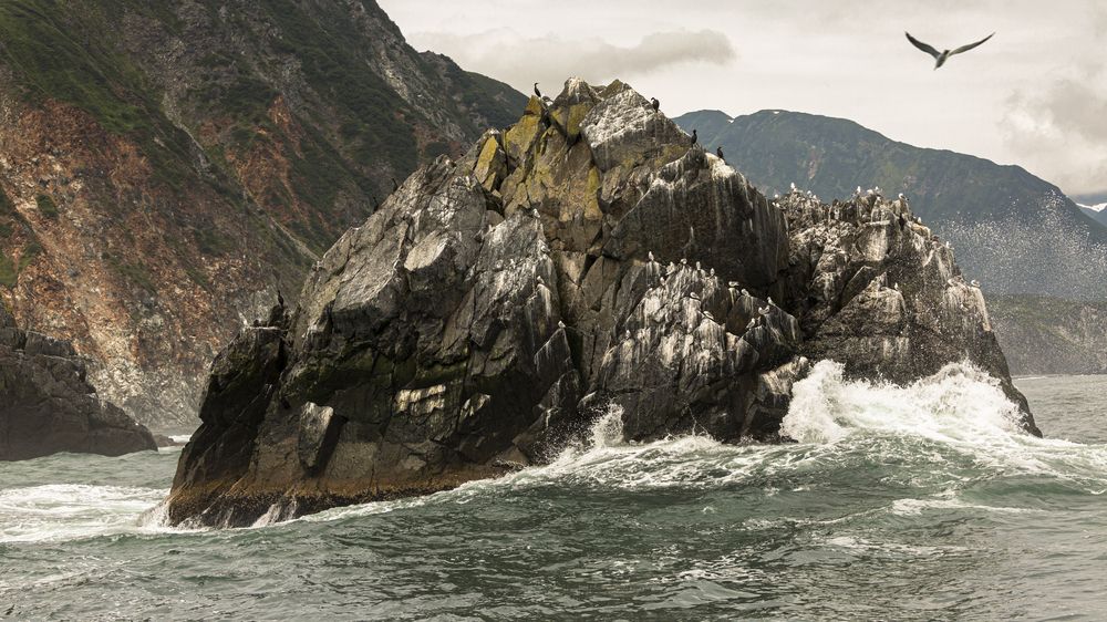 Photograph by Алена Ерошкина