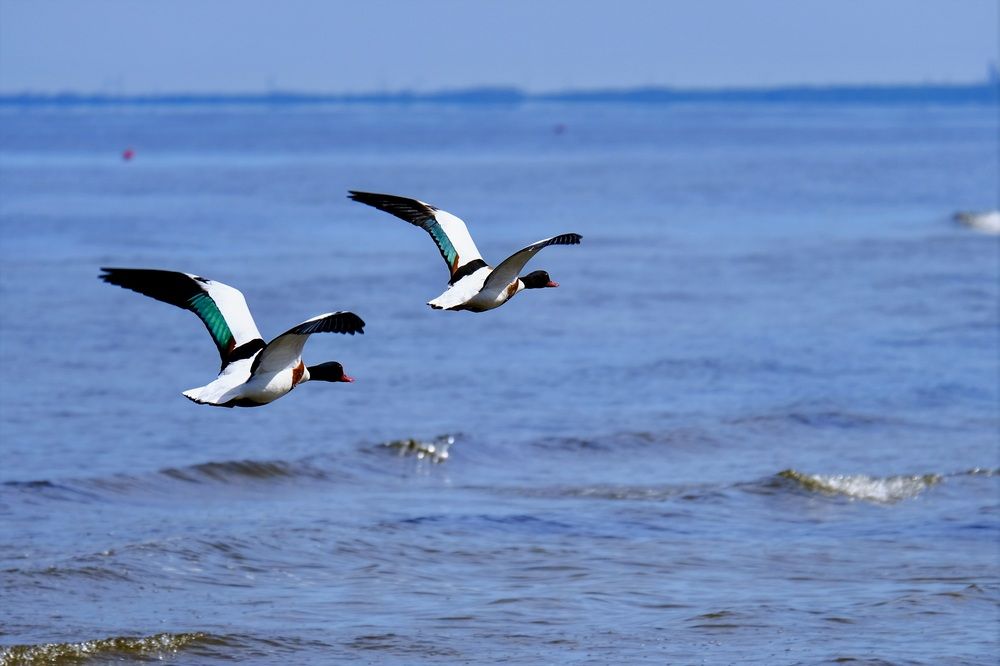 Фотография автора VIZO