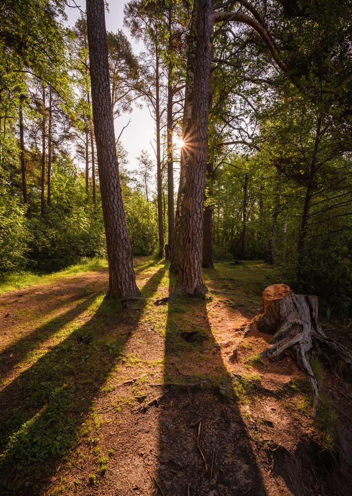 Photograph by Олег Бабурин