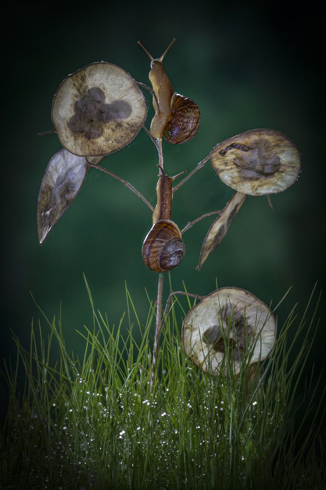 Photograph by Черновол Валентин