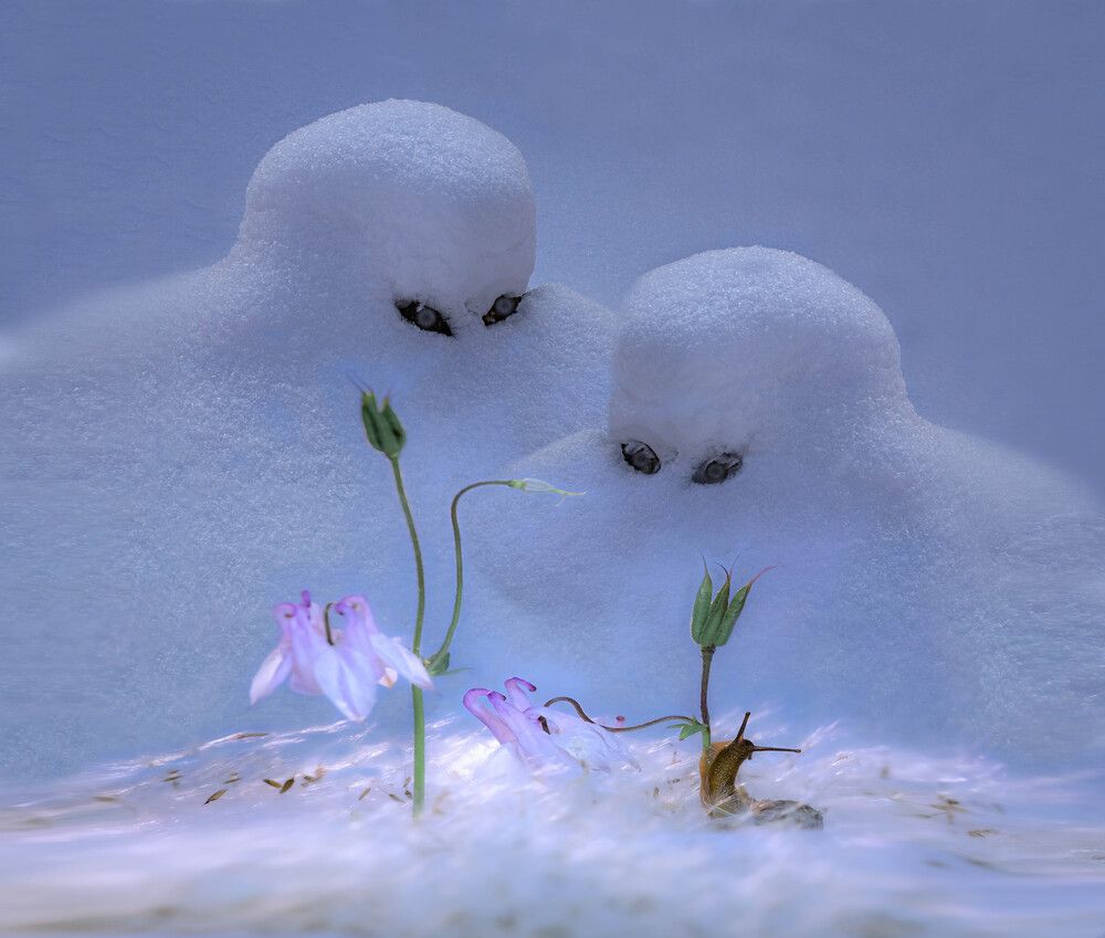 Фотография автора Черновол Валентин