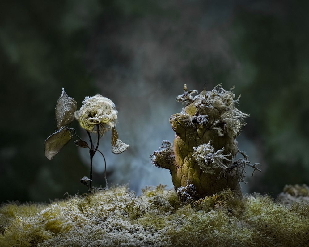 Photograph by Черновол Валентин