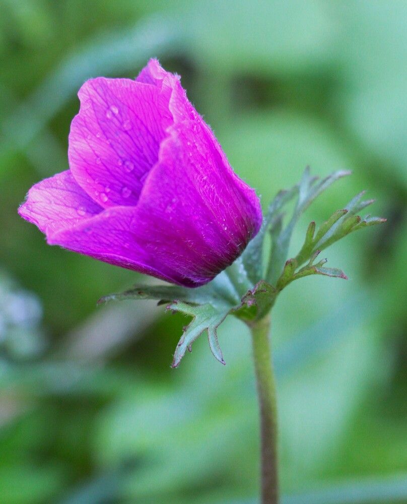 Photograph by Людмила Бутова