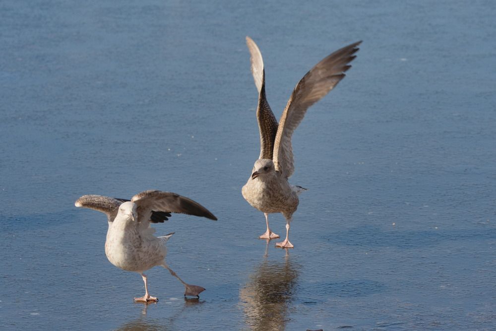 Photograph by Ольга Якубова
