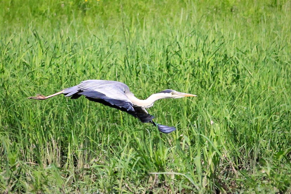 Фотография автора Ser P