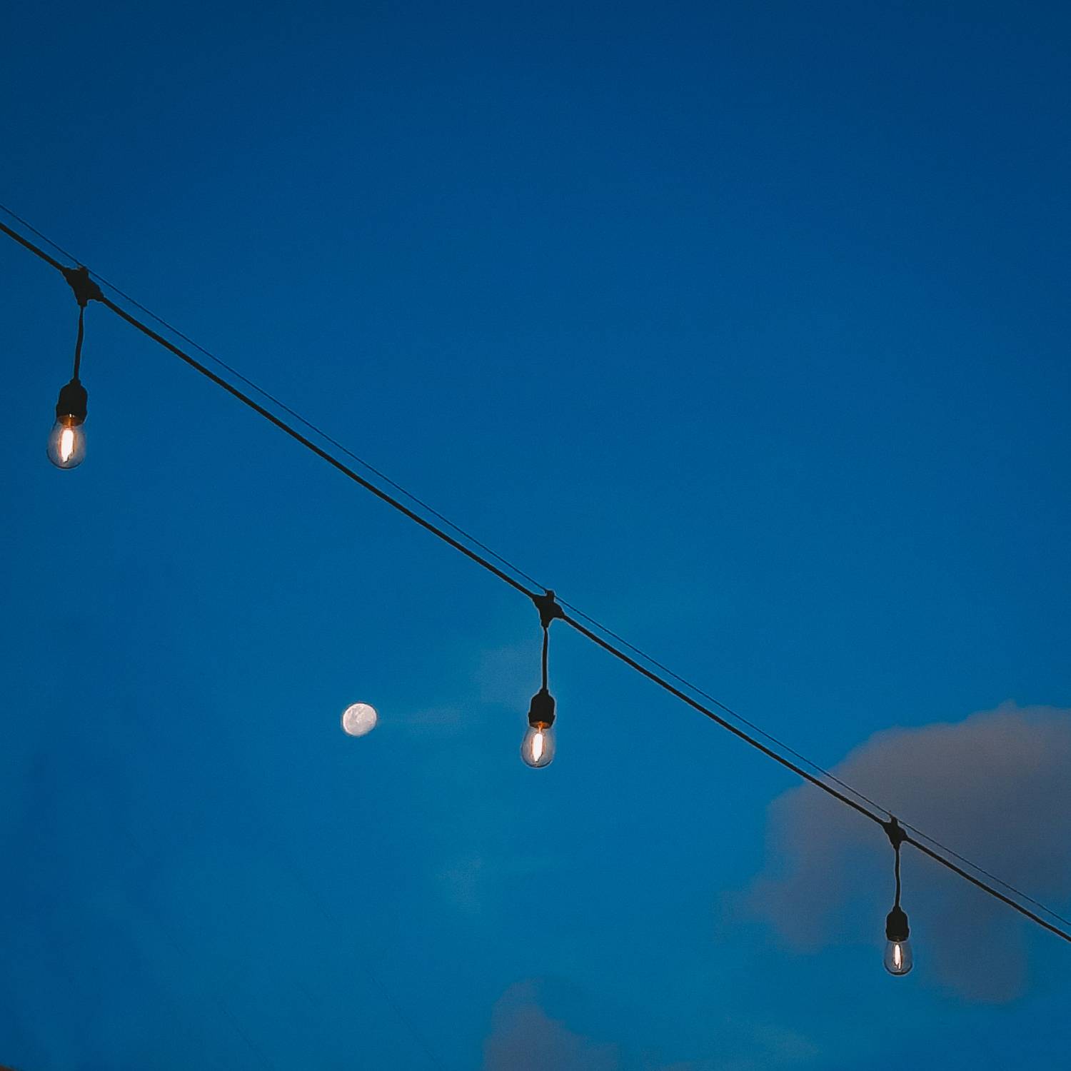 Фотография #12285270