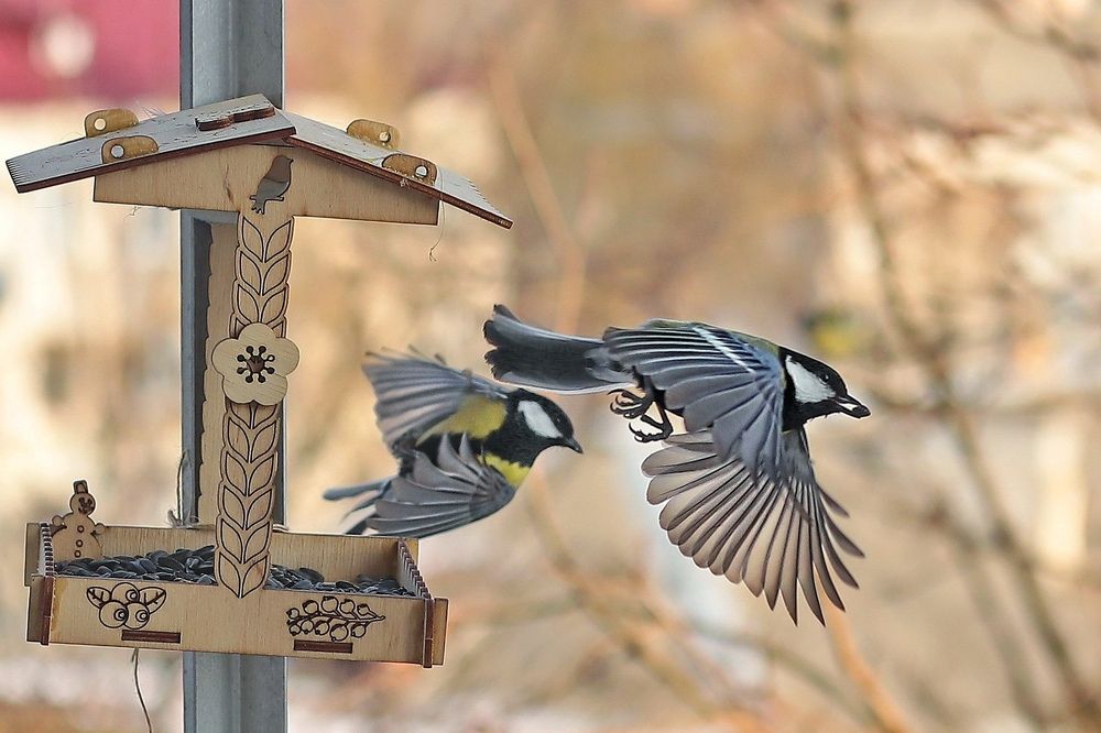 Photograph by Татьяна Бравая