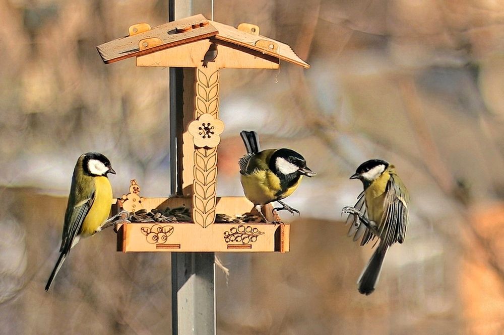 Photograph by Татьяна Бравая