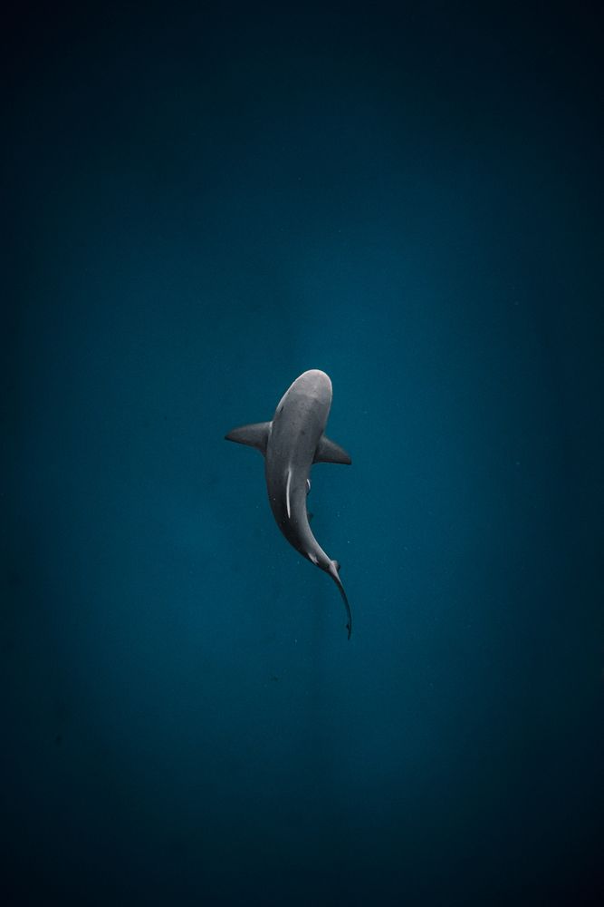 Photograph by mizael palomeque