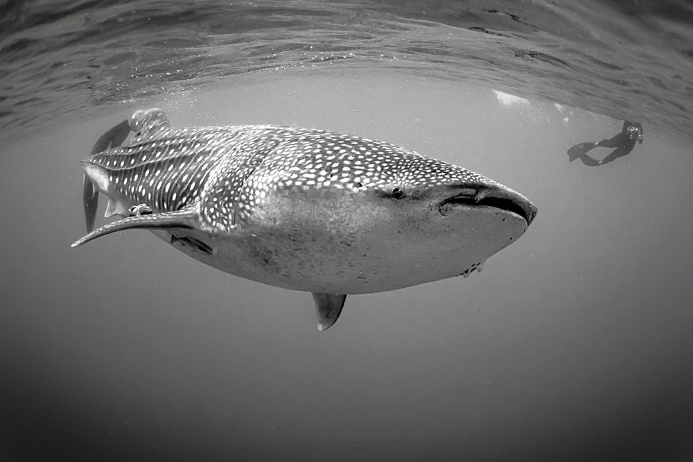 Photograph by mizael palomeque