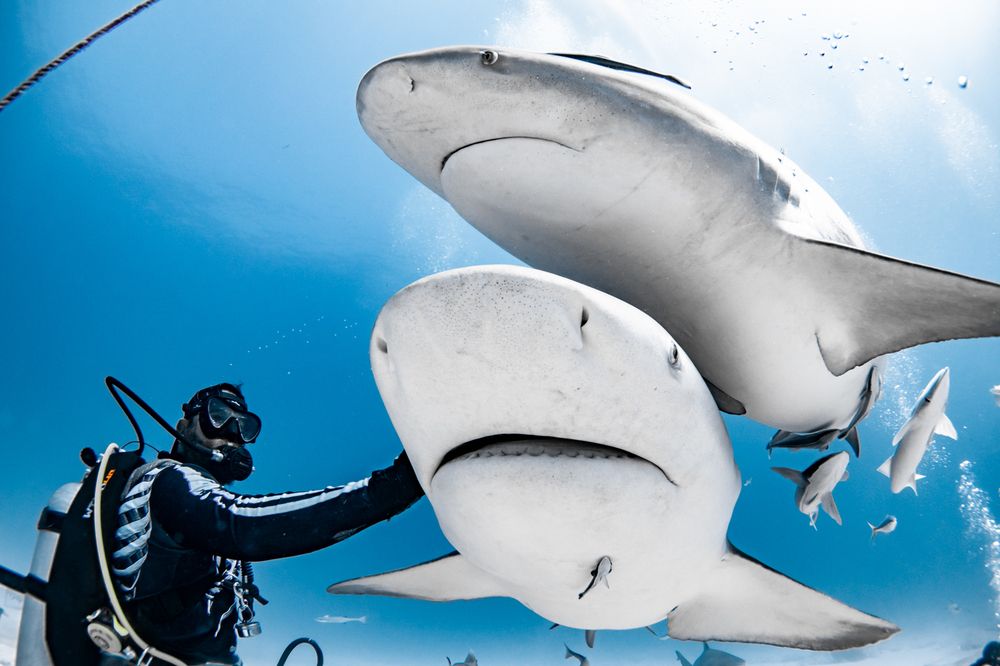 Photograph by mizael palomeque