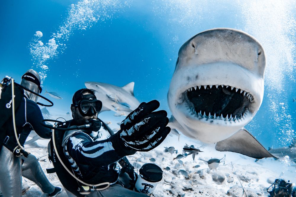 Photograph by mizael palomeque