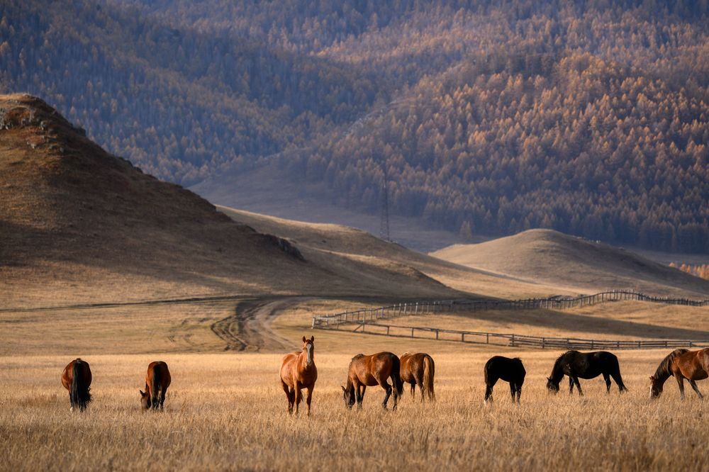 Photograph by Юлия Шустерова