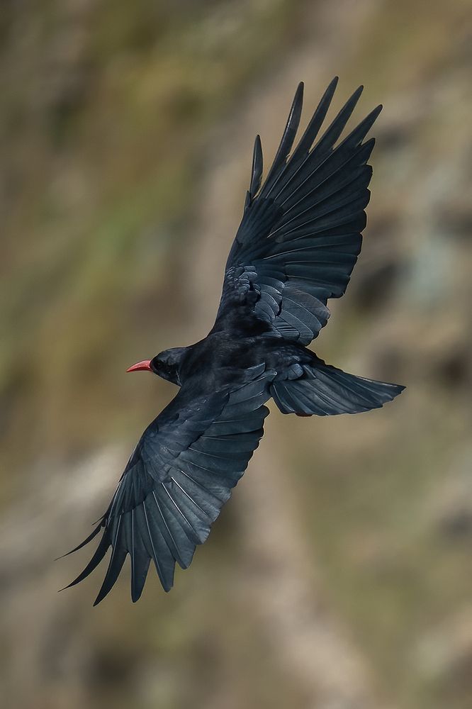 Photograph by Aleksandr Solovev