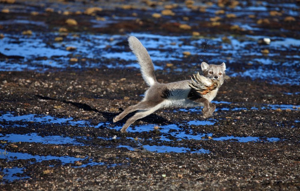 Photograph by Vladimir Melnik