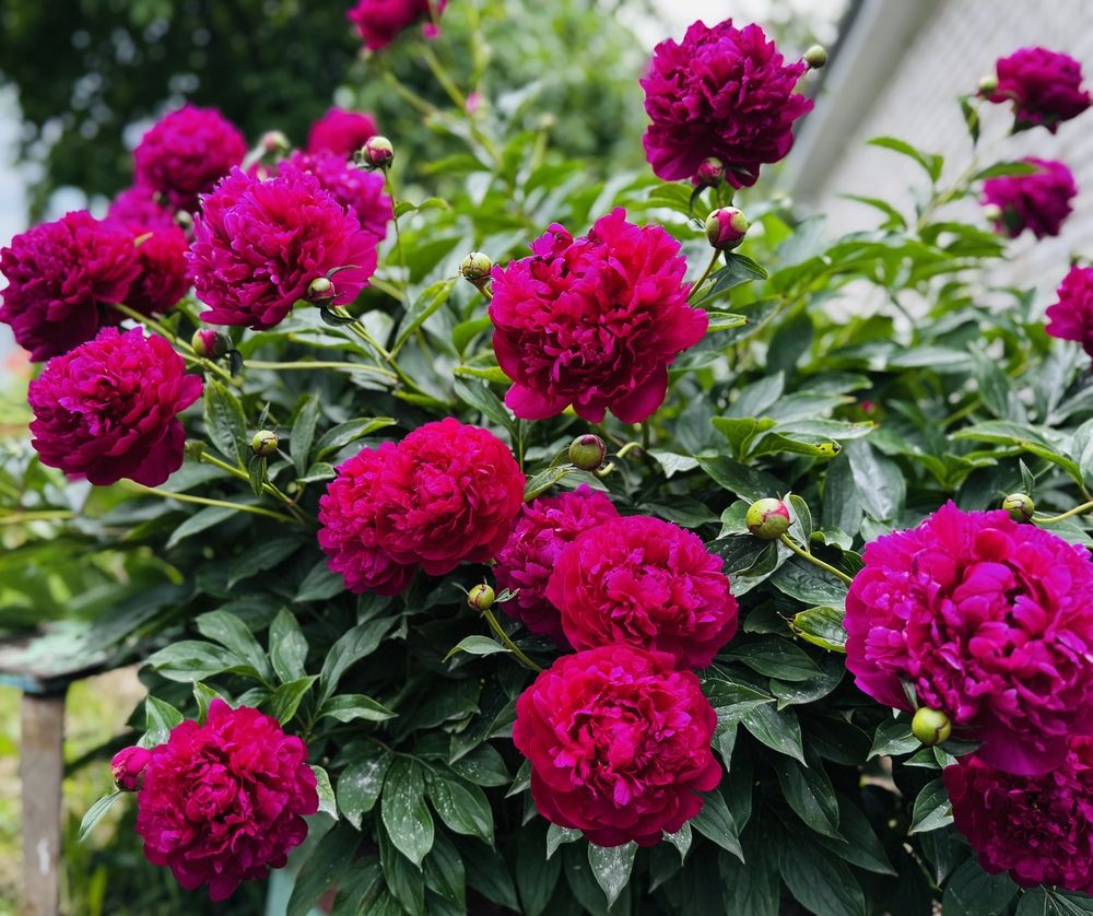 Фотография автора Илиза Майнурова