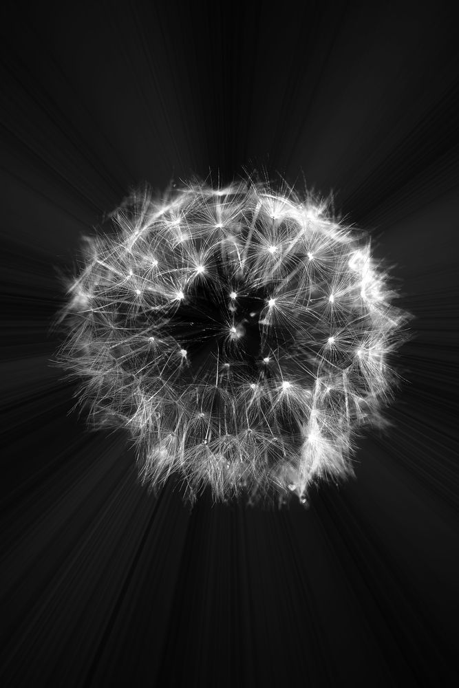 Photograph by Михаил Косолапов