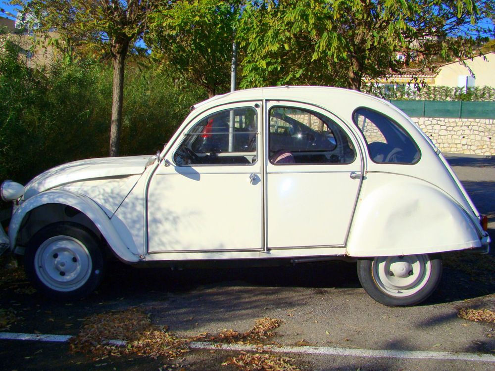 Старичок на приколе